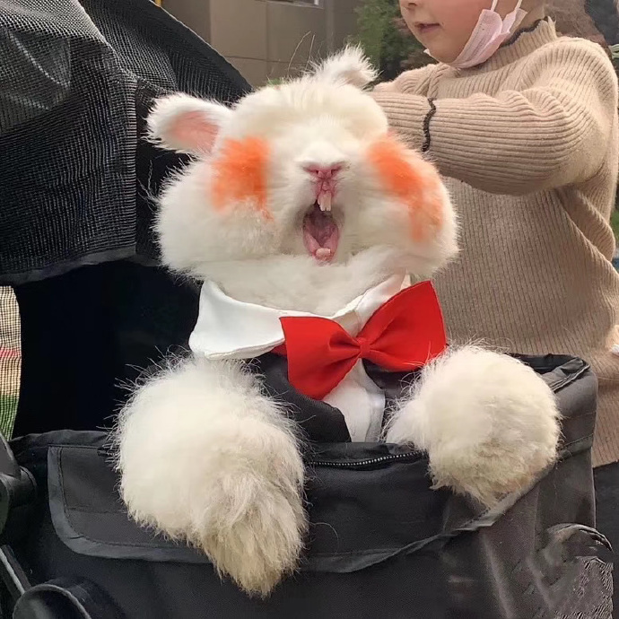 搞怪个性好看的情侣微信头像