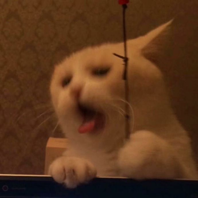 奇奇怪怪的沙雕搞笑微信头像