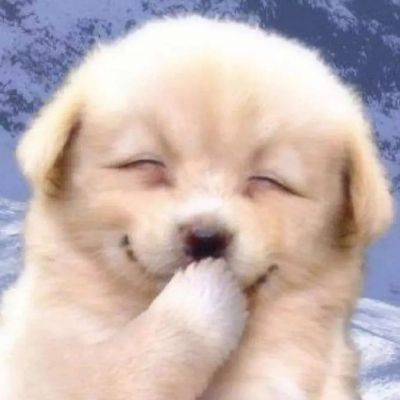 可爱小动物微信头像