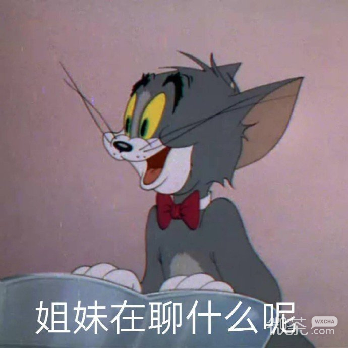猫和老鼠撩人怼人微信表情包