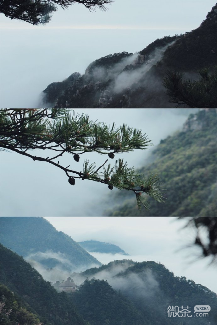 三屏的迷雾山林自然风光微信聊天背景图