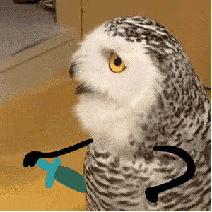 近期爱用的动态表情