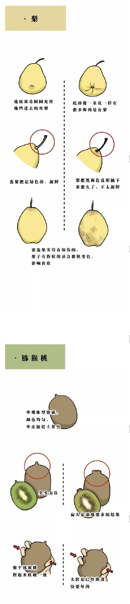 挑水果实用小妙招微信素材图片