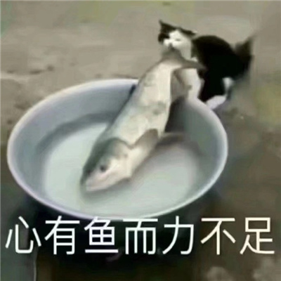 第一次聊天打招呼的表情包