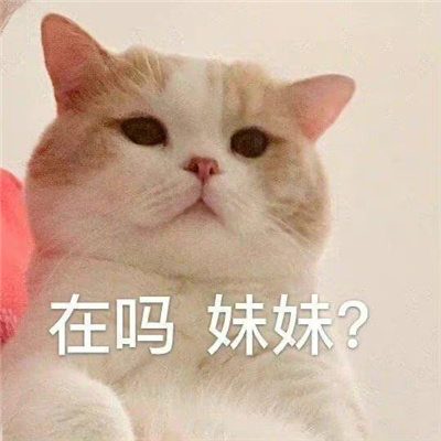 有趣又很好玩的打招呼表情包