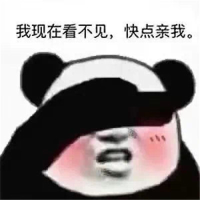 最新版的热门表情包