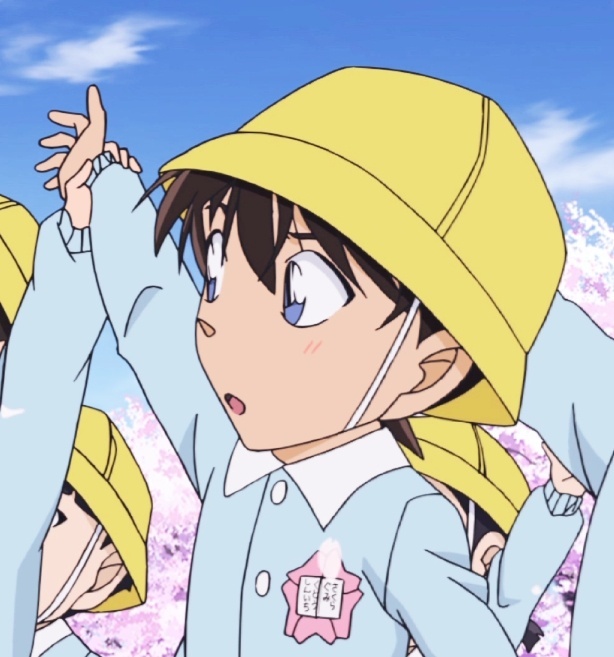 樱花班的回忆新一小兰情侣微信头像