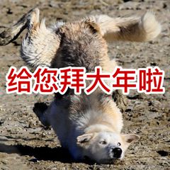 沙雕拜年微信表情包