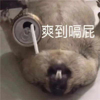 让人看了就很开心的表情