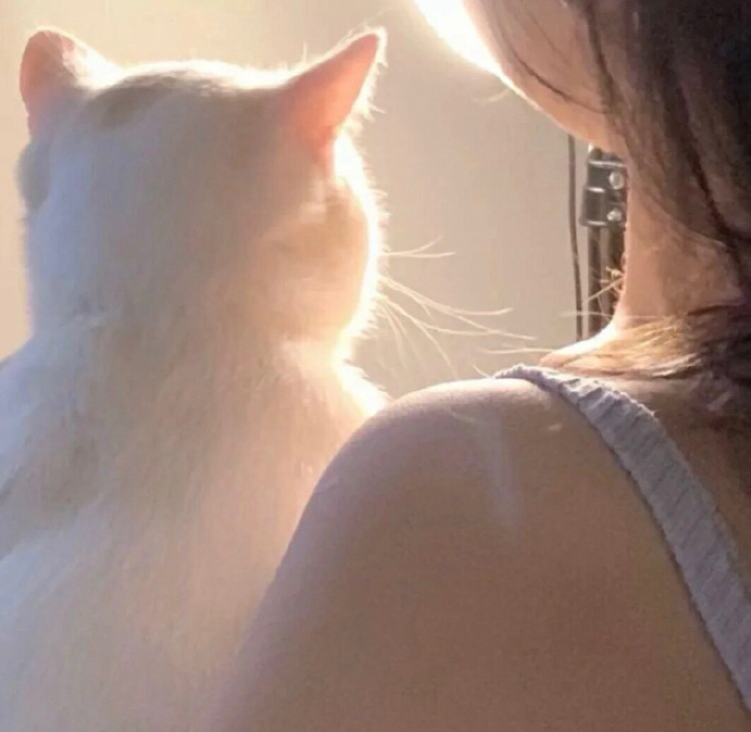 可爱动漫女生微信头像