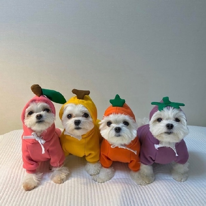 可可爱爱古灵精怪微信朋友圈背景图