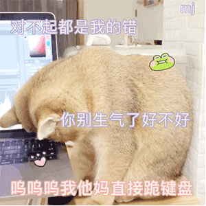 超可爱的小猫咪动态微信表情包