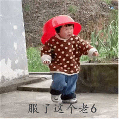 我服了你个老六表情包