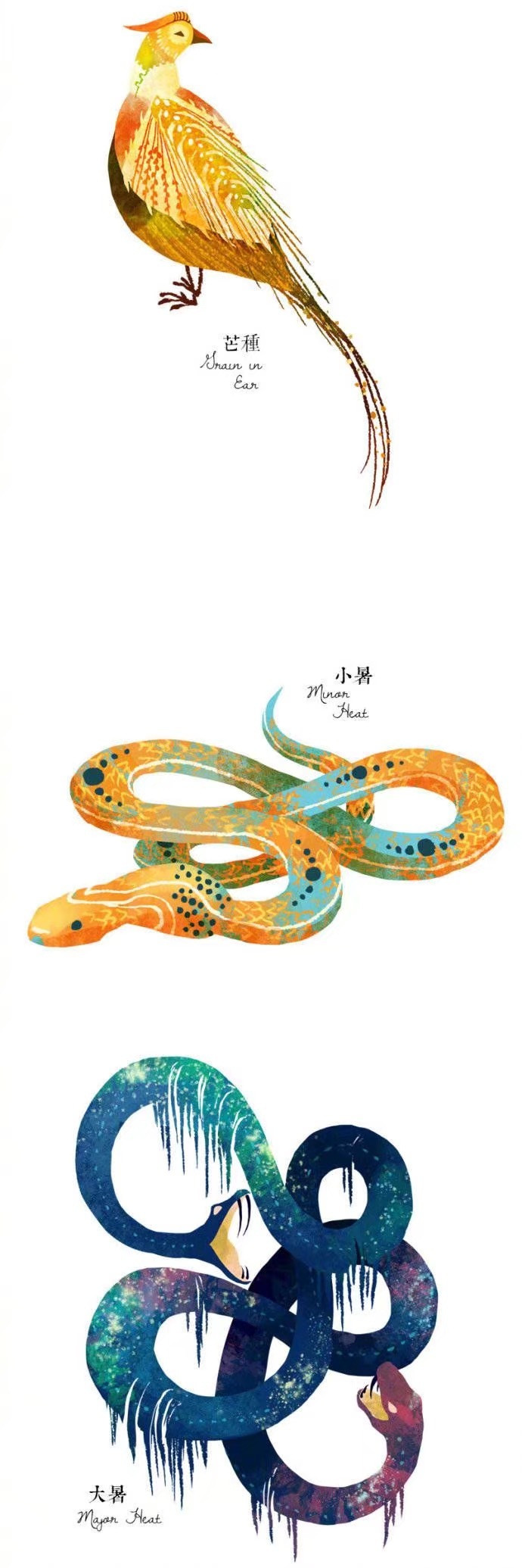 24节气里的绝美动物微信素材图片