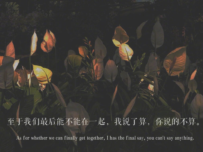 非常有意境的朦胧朋友圈配图