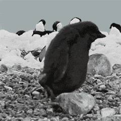 沙雕拜年微信表情包