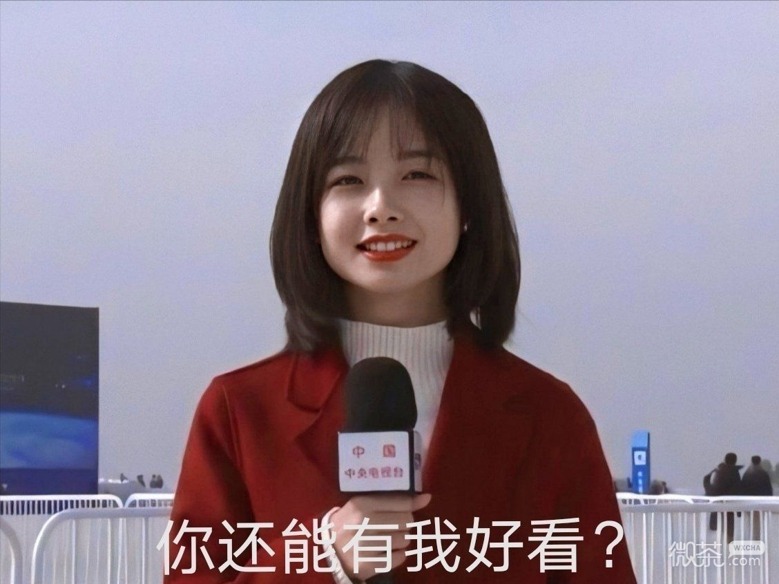 可爱主持人王冰冰微信表情包
