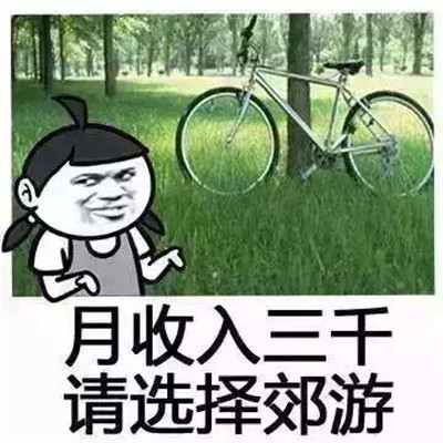 月薪与旅游的搞笑表情包
