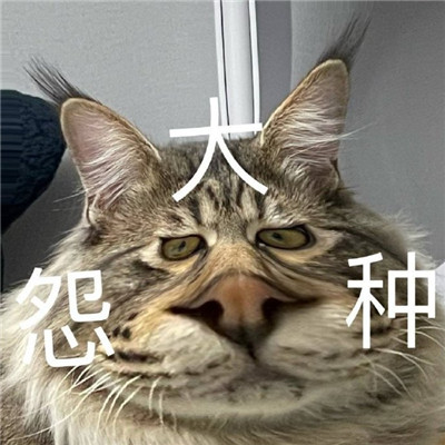 大怨种表情包合集