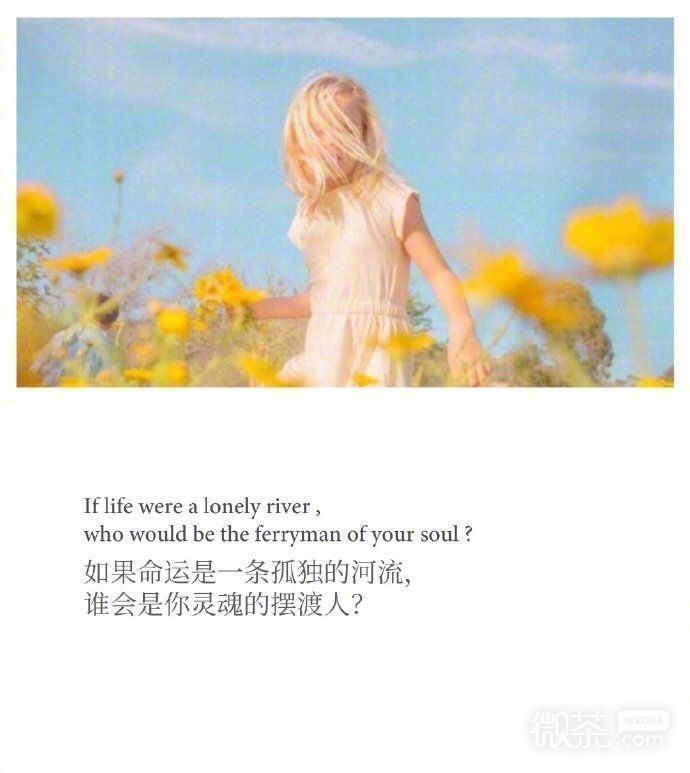 清新文字治愈风景微信背景图