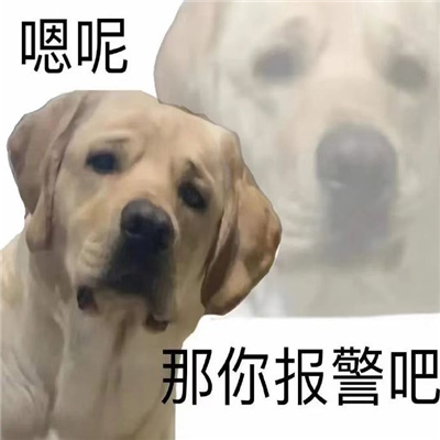 万能斗图表情