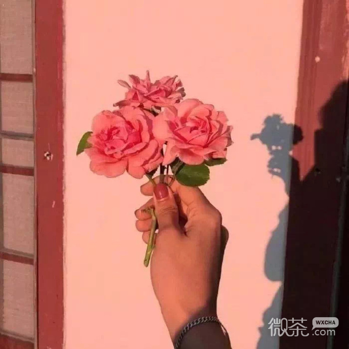 唯美好看有意境简约的微信聊天背景图