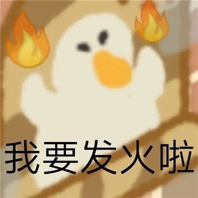 最新版肥鹅趣味表情包