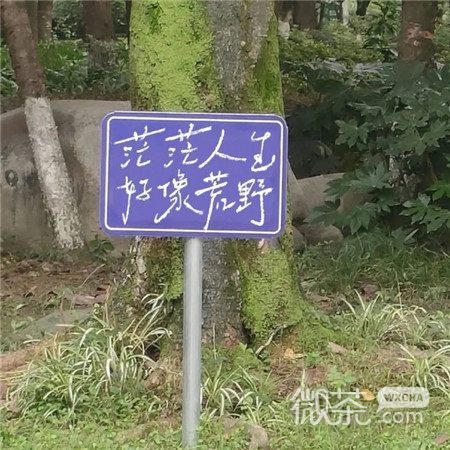 超棒的带字朋友圈背景图
