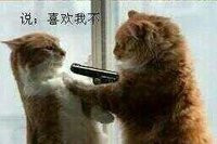 沙雕猫猫拿枪微信表情包