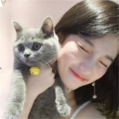 抱着猫的高颜值女生微信头像