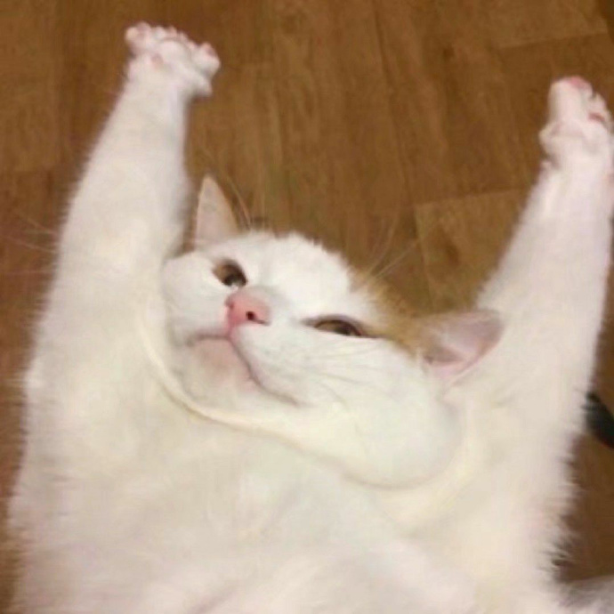 搞怪沙雕卡通微信头像