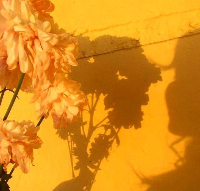 同色系唯美有意境的影子微信朋友圈背景图