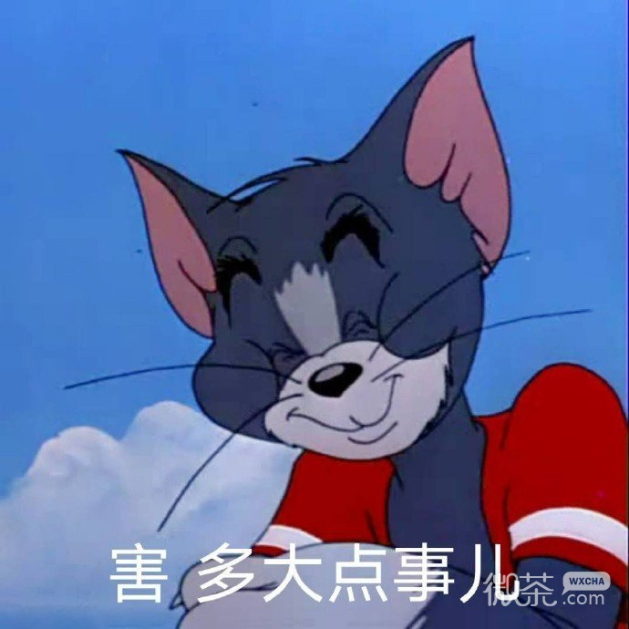 猫和老鼠撩人怼人微信表情包