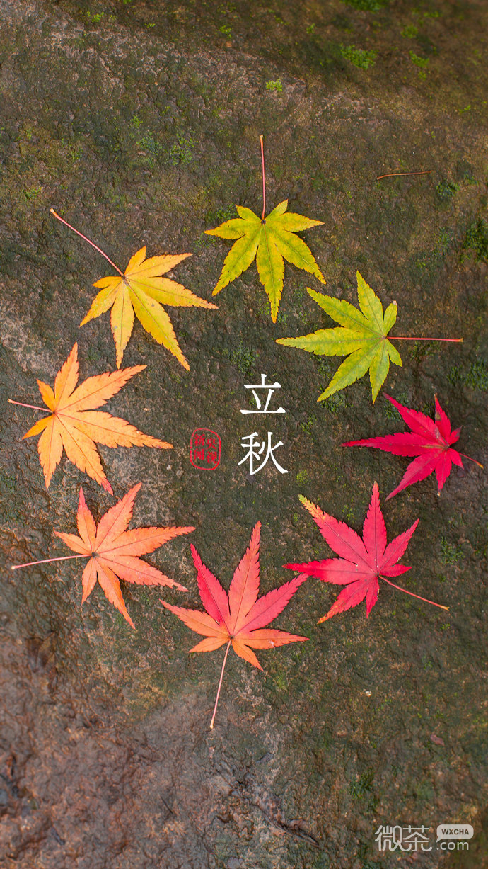 24节气绝美微信素材图片