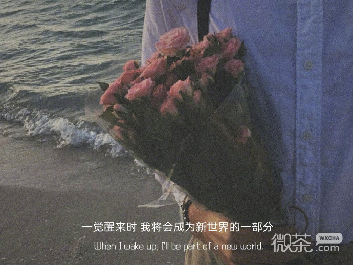非常有意境的朦胧朋友圈配图