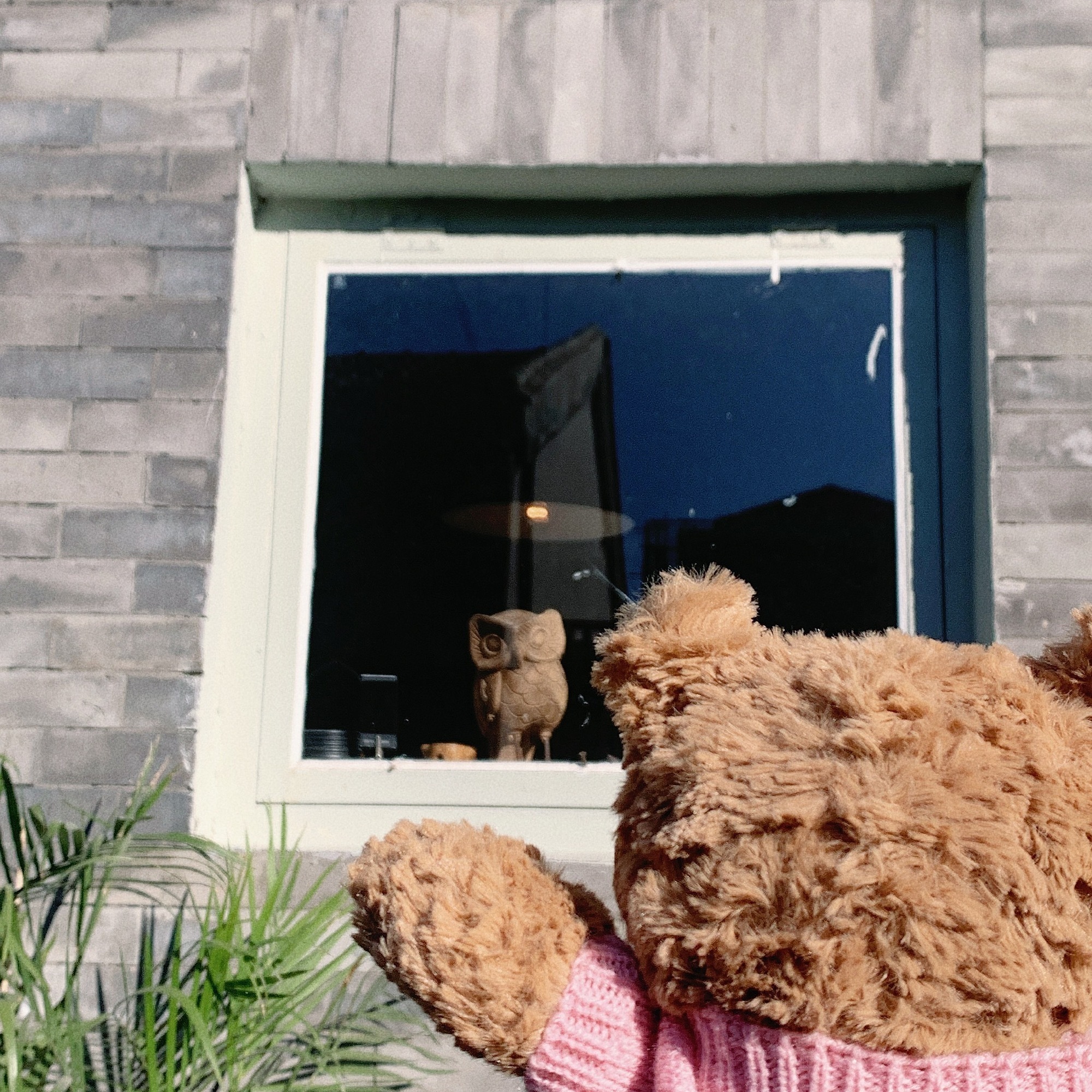 巴塞罗熊可爱微信头像