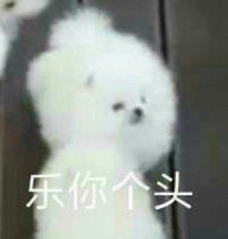 超乐的小白狗微信表情包