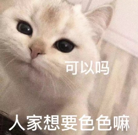 想要色色的猫咪和狗狗微信表情包