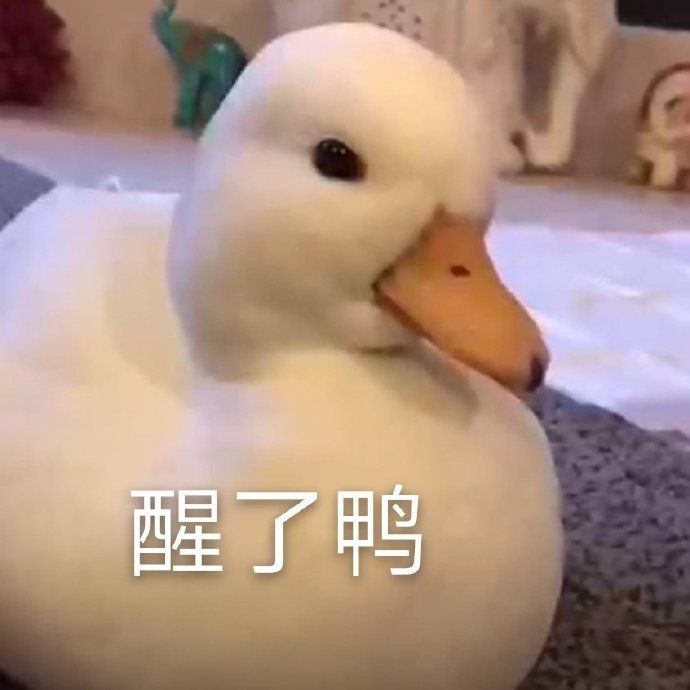 没有男朋友的快乐搞笑微信表情包