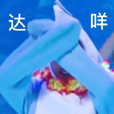 INTO1-赞多搞笑微信表情包