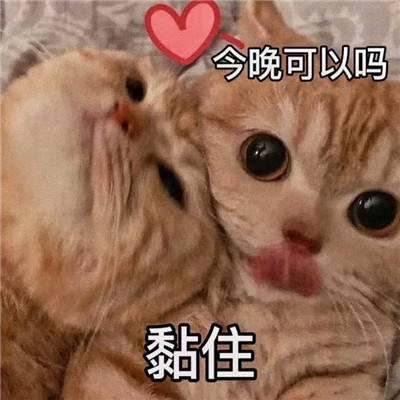 情侣之间发的色色聊天表情