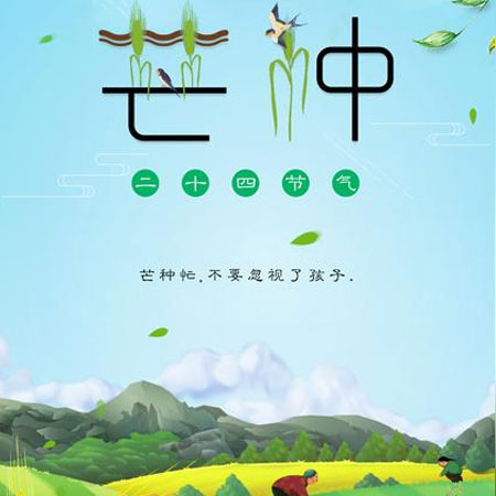芒种节气微信素材图片