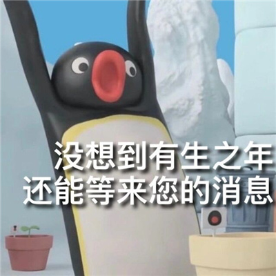 企鹅家族表情