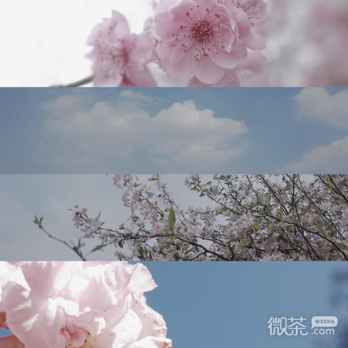 一年四季的温柔微信聊天背景图