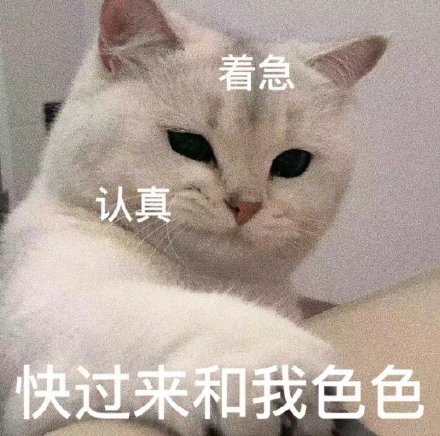 想要色色的猫咪和狗狗微信表情包