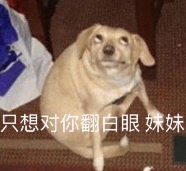 永不过时的好笑微信表情包