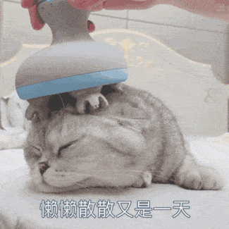 沙雕猫猫欢乐动态微信表情包