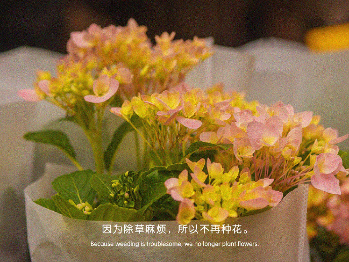 简约文艺微信聊天背景图
