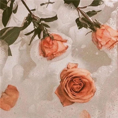 让你很难不爱的背景