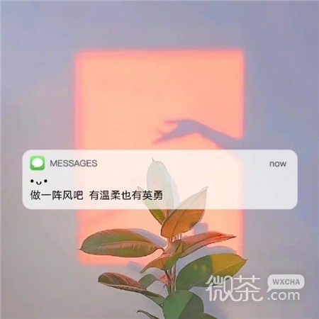 温柔的文字背景图